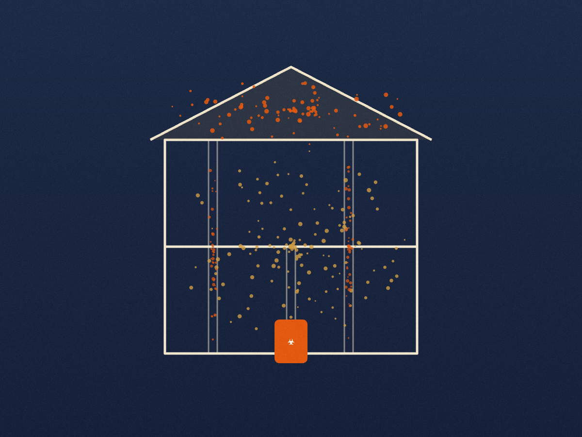 Diagram of fumigant moving through a home's attic, wall voids, and framing